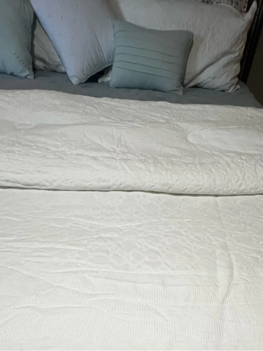 King Cotton Comforter Set in White with Light Blue Accents